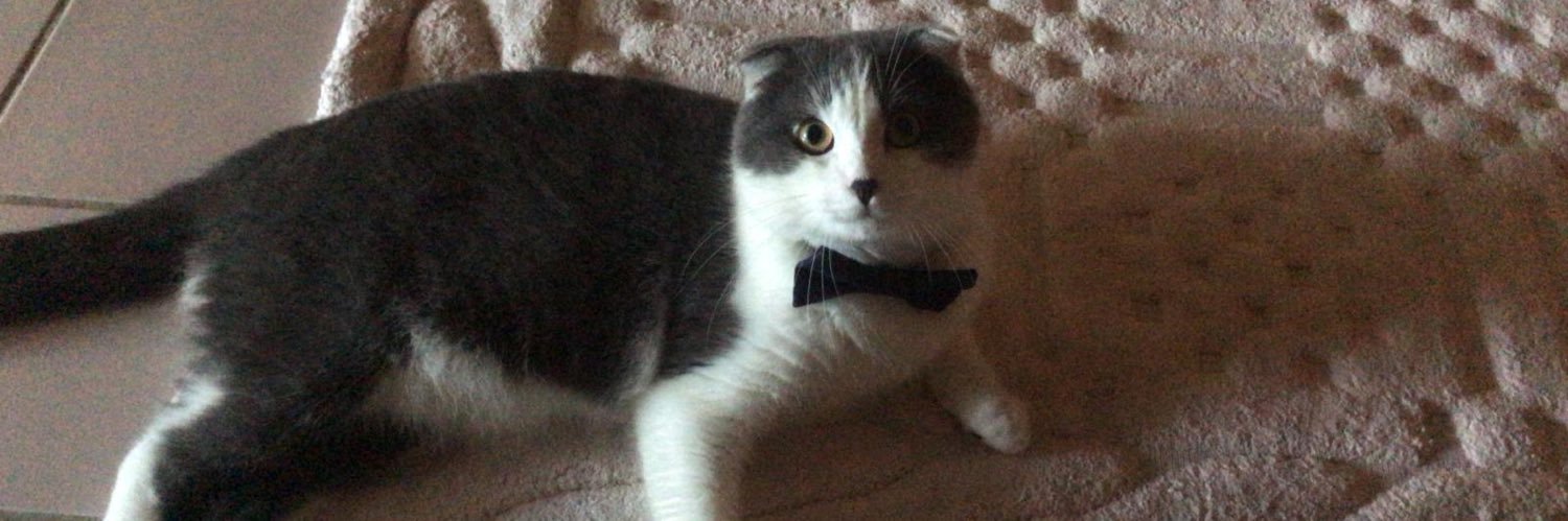 dogukanwashere's profile banner image