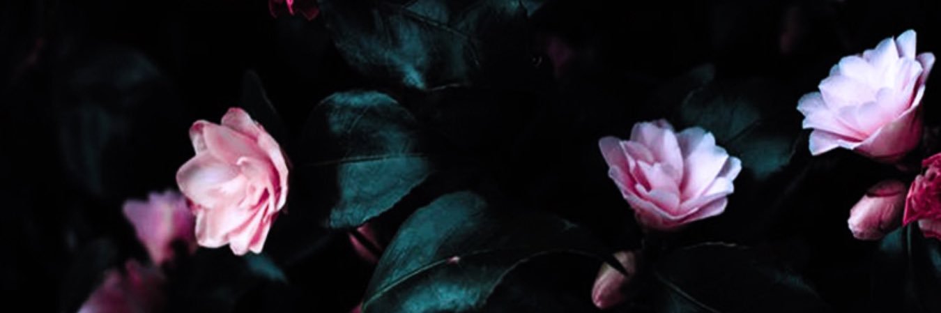 TeaganReddick's profile banner image