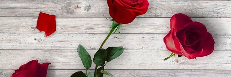 seyko65's profile banner image