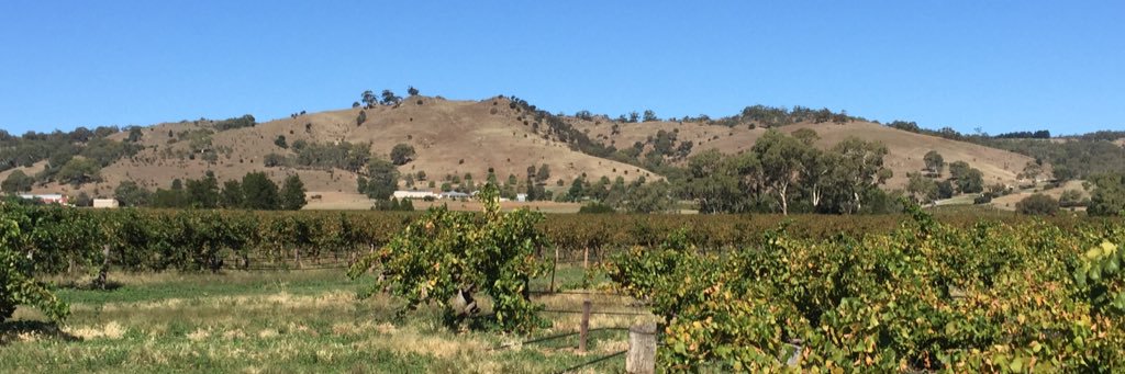 SchwarzWineCo's profile banner image