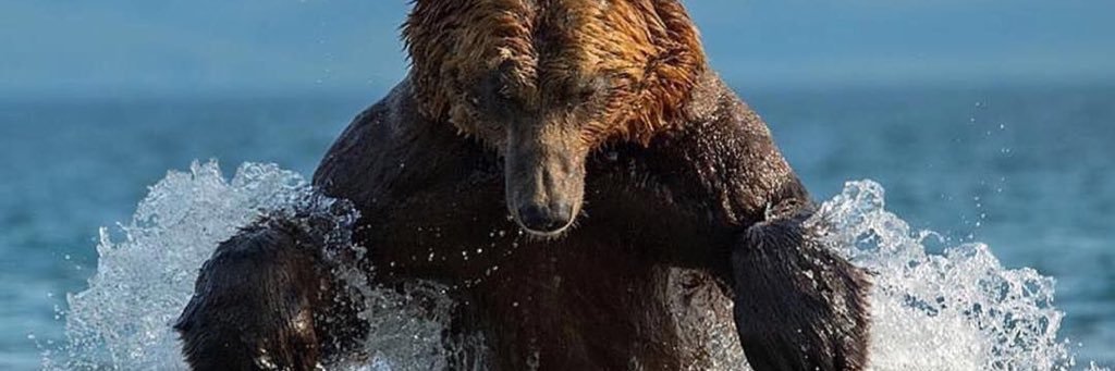 HunterCollier_'s profile banner image