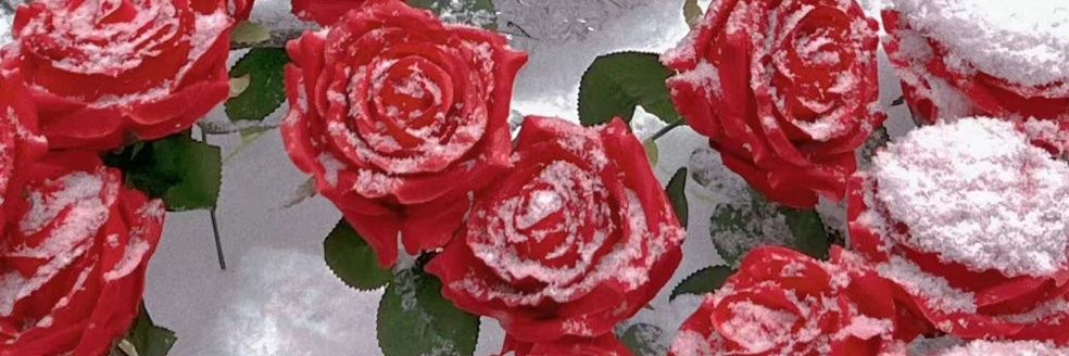 Shirley11113's profile banner image