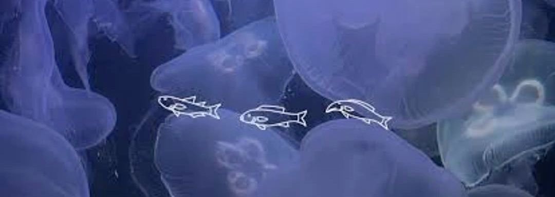 46se_'s profile banner image