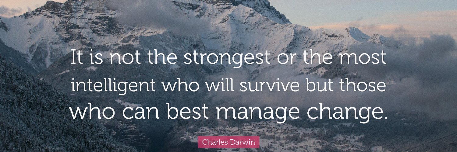 Belisse Doumbe banner