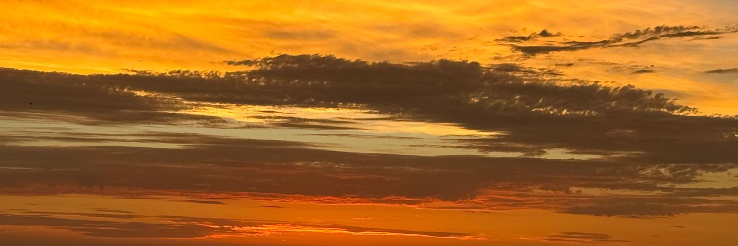 Ycolina4's profile banner image