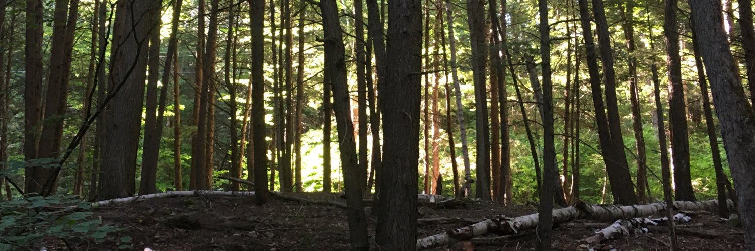 CarterKinoy's profile banner image