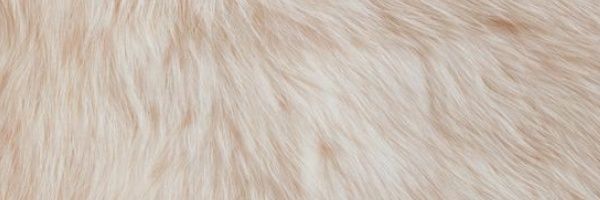 Feet_Sindy's profile banner image
