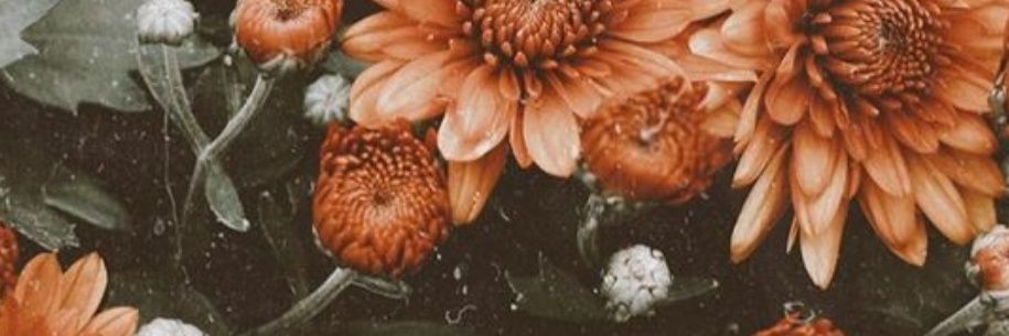 anddyyx09's profile banner image
