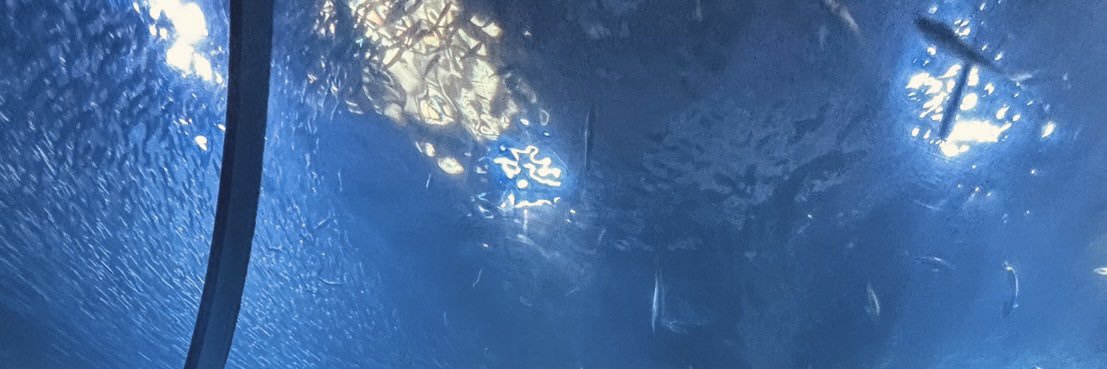30_mo2's profile banner image