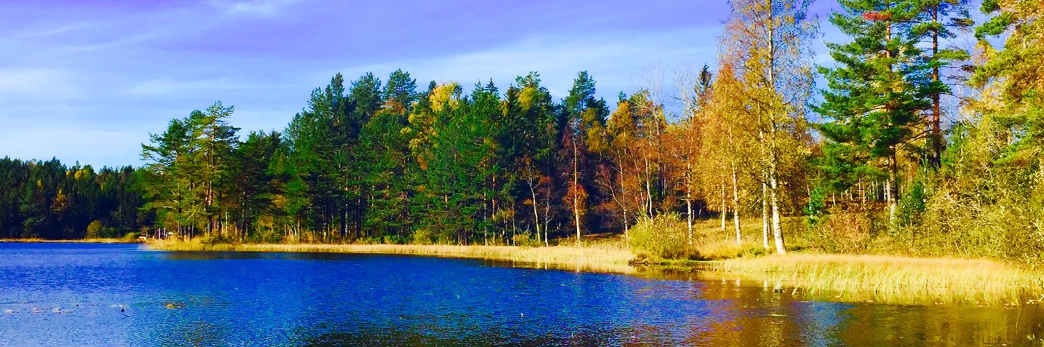 Y&T 🇳🇴🇬🇷 banner