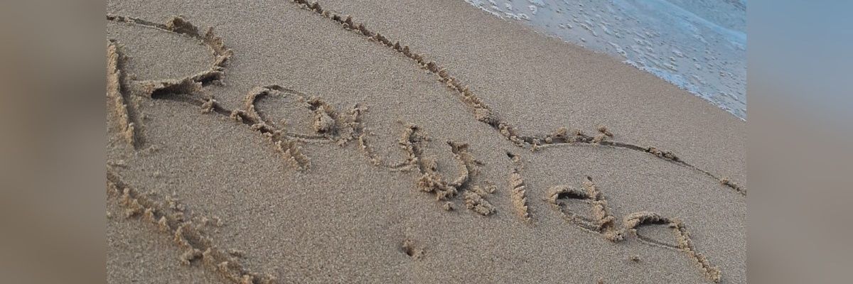 Rowida76099413's profile banner image