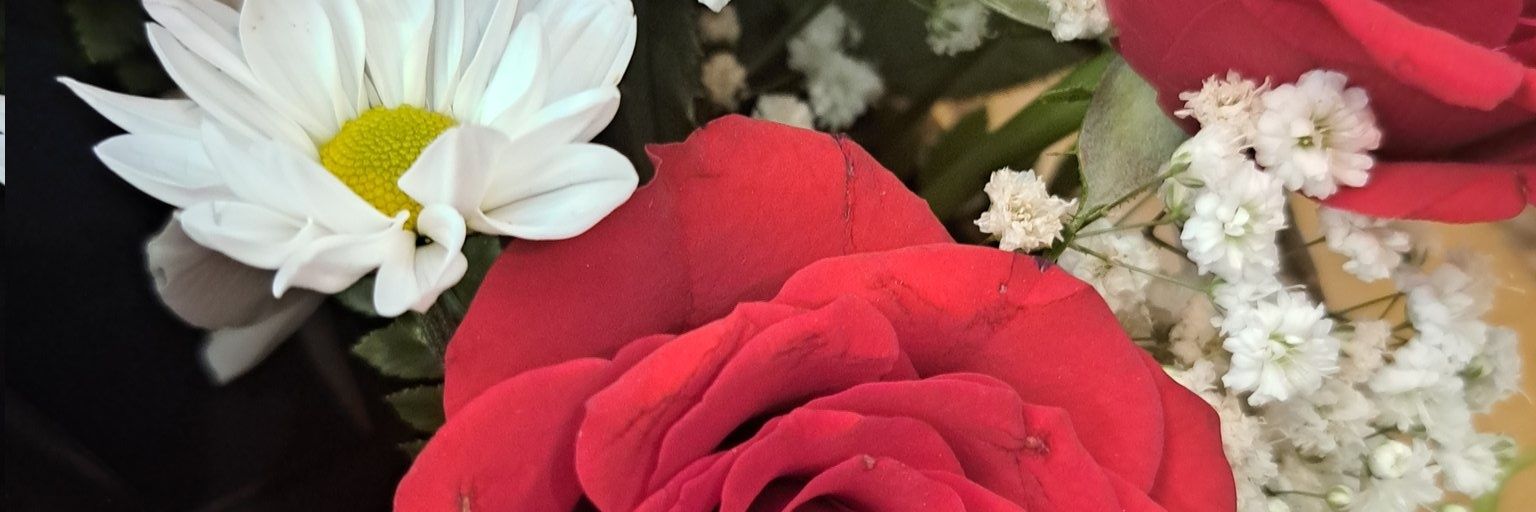 jaja1254's profile banner image