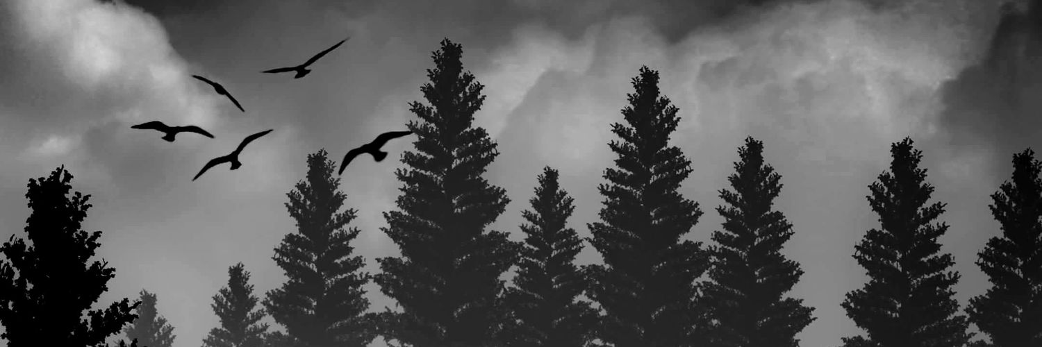 xhelmix's profile banner image