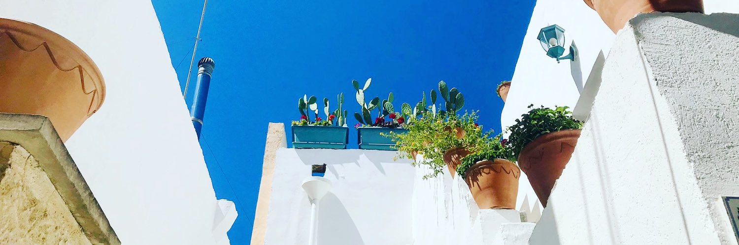 cortellenica's profile banner image