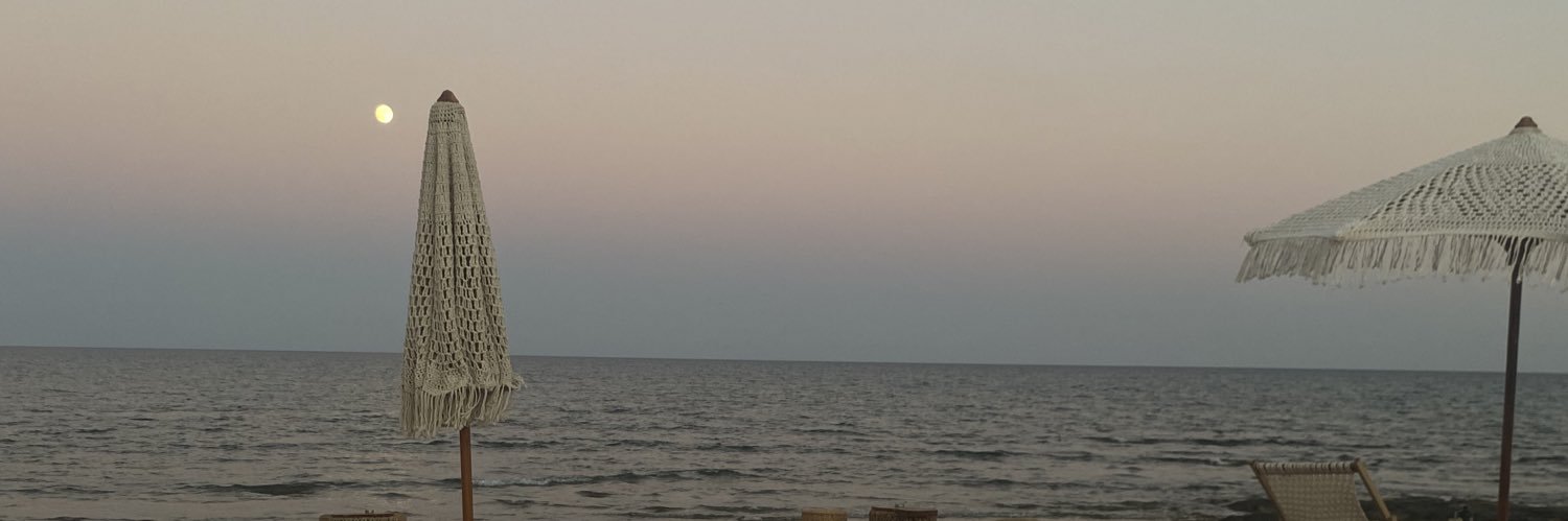 silakazandr's profile banner image