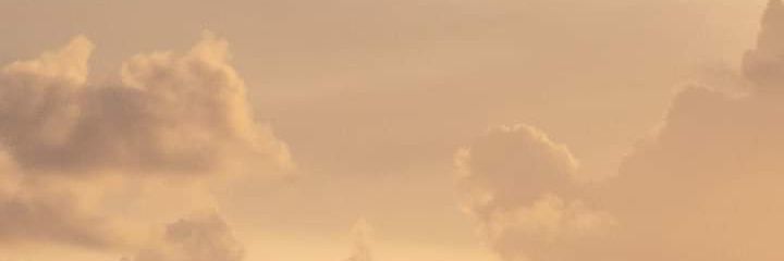 กราบแมวฉันสิ banner