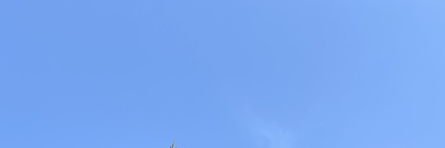 nus_open's profile banner image
