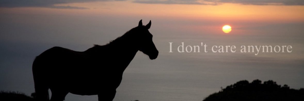 AlexiisM97's profile banner image