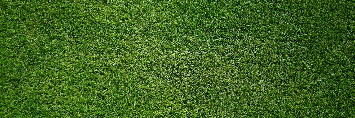 Consilium Sports Group banner