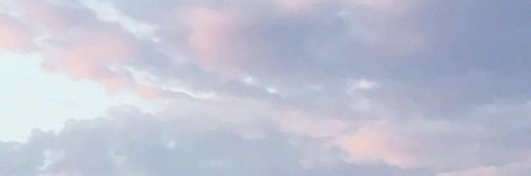 ほまれ banner