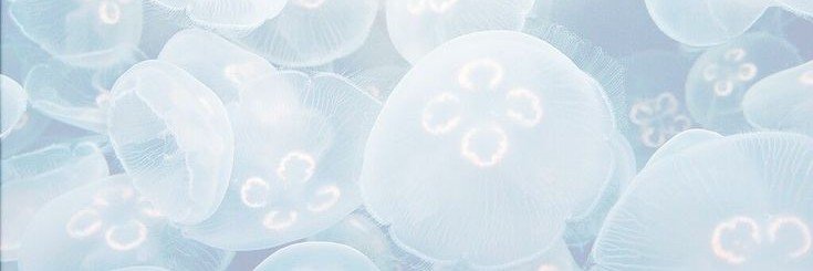 Lua_7w's profile banner image