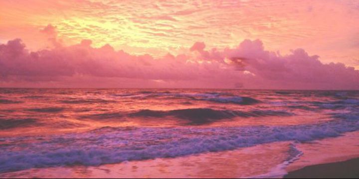 loganandrews_'s profile banner image