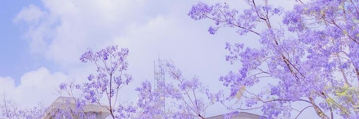 vn_cc97's profile banner image