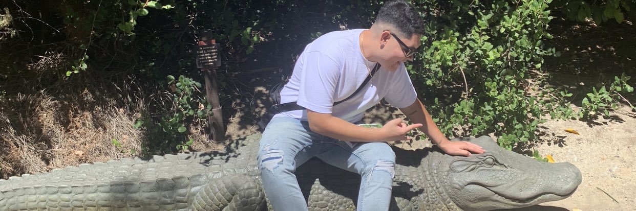 Kimbery_Zelaya's profile banner image