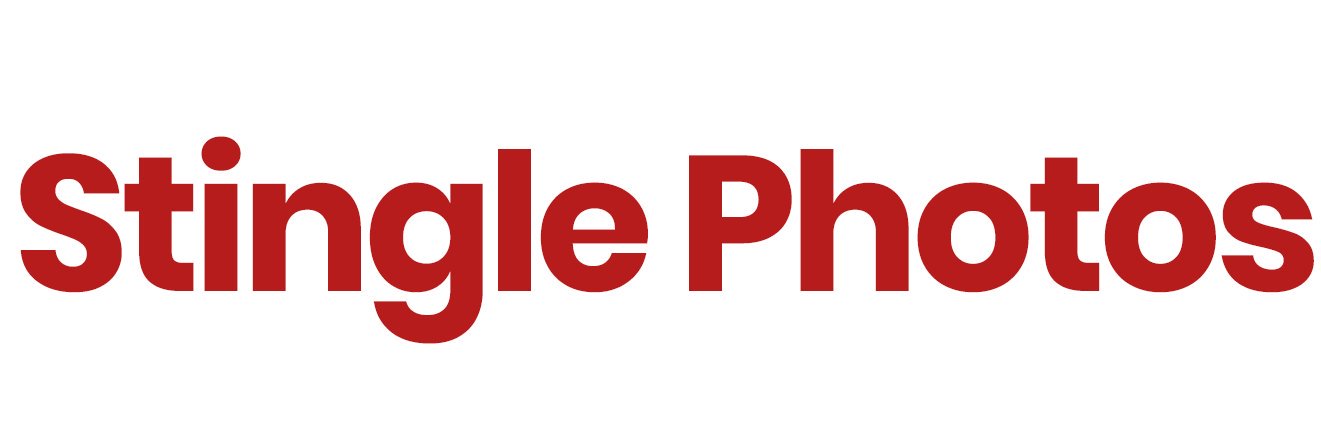 Stingle banner