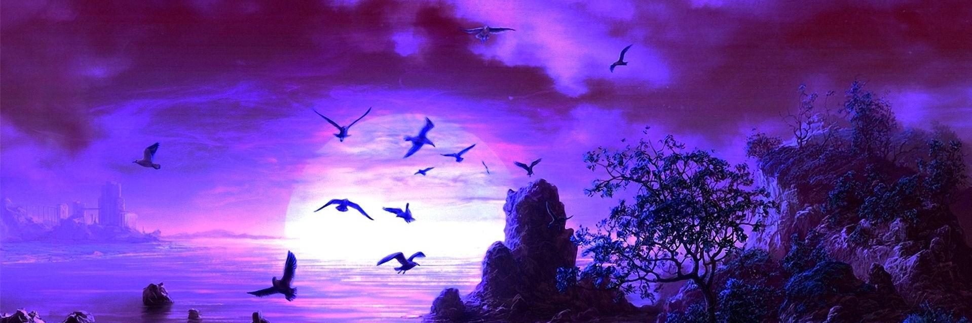 Cathaleya111's profile banner image