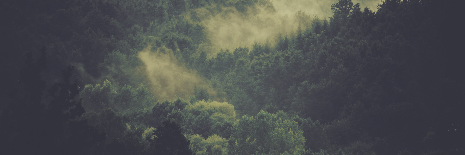 BRHNDS's profile banner image