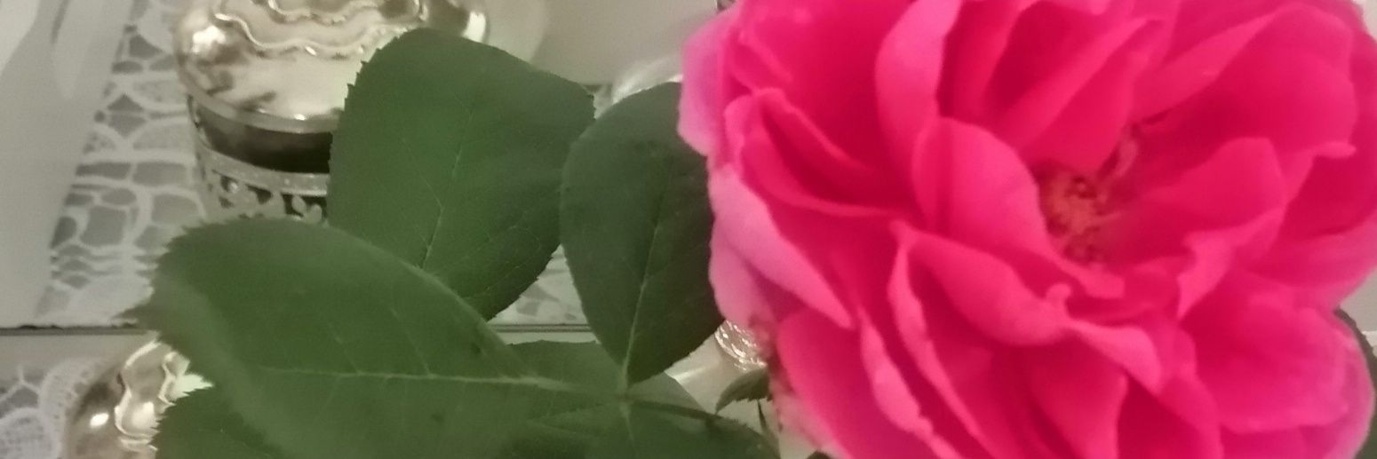 بدر البوسعيدي banner