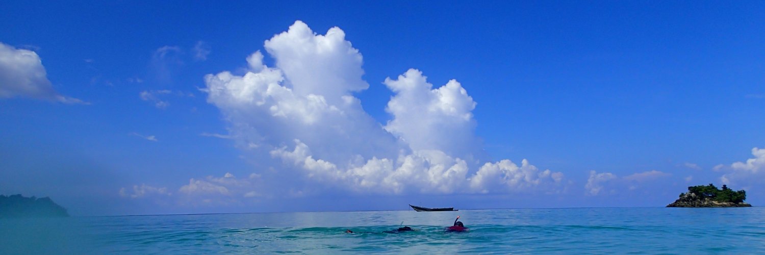 MilesToSwim's profile banner image
