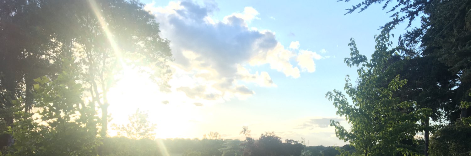 M4ru16's profile banner image