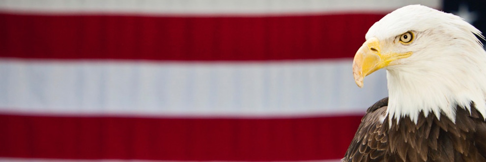 Charyssa Parent's banner