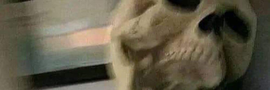 ᗩᛕIᖇᗩᗪᗩᗯIᑕᛕᗴᖇ banner