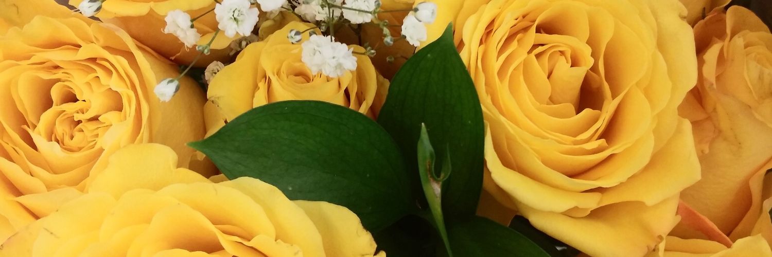 CarolenePinn's profile banner image
