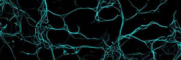 samuscientist Profile Banner