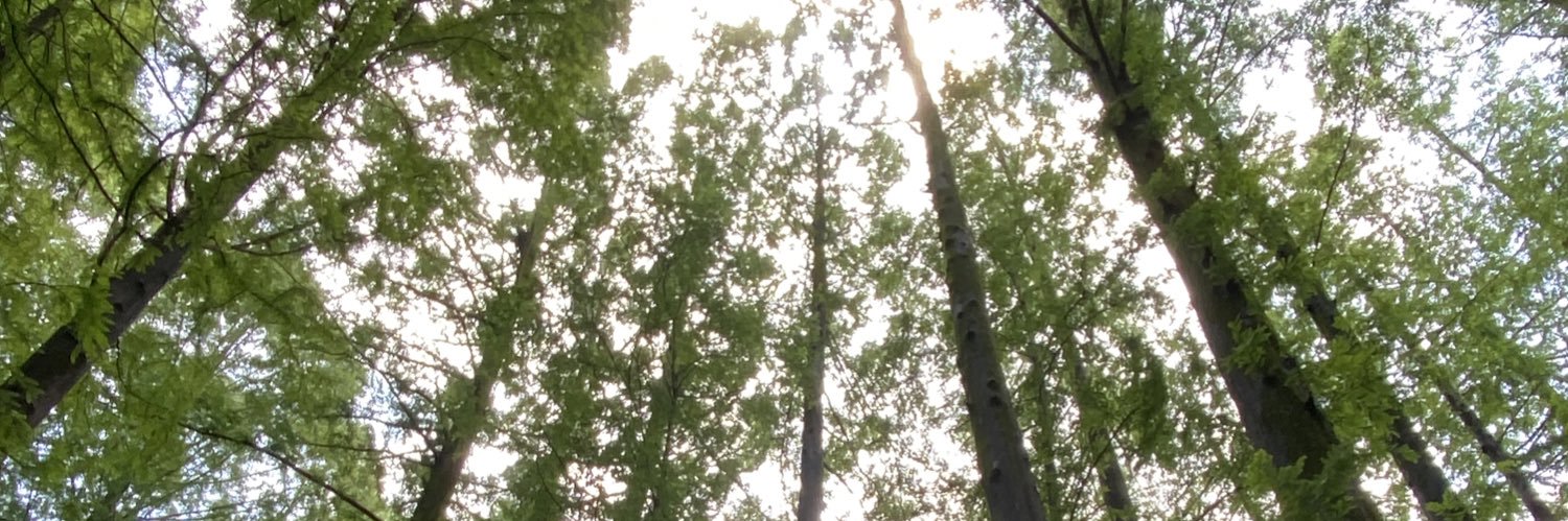 Lzn7C's profile banner image