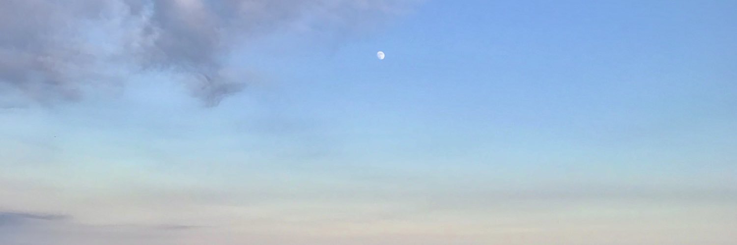 nat_lugo's profile banner image