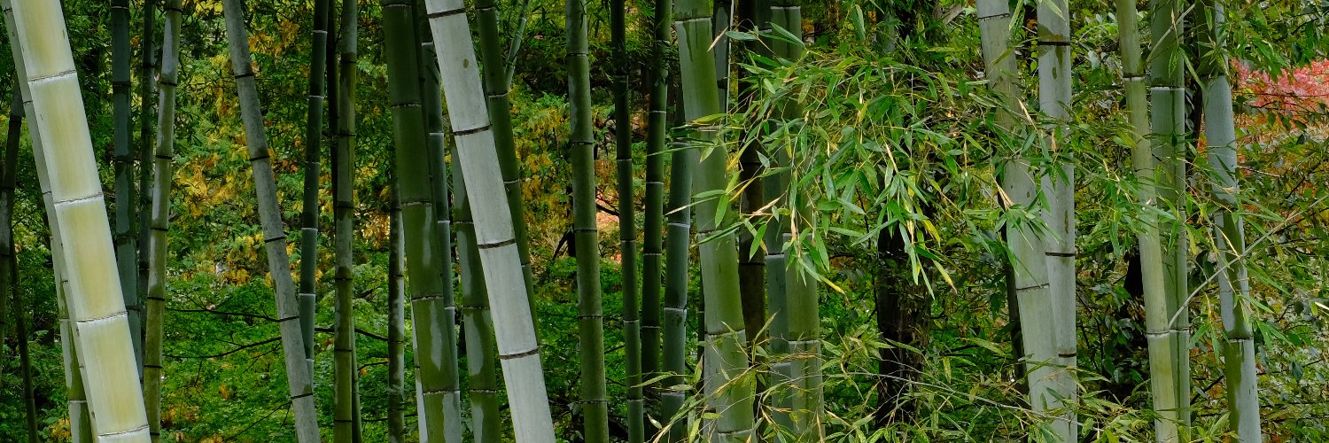 SAMMY_0ed's profile banner image