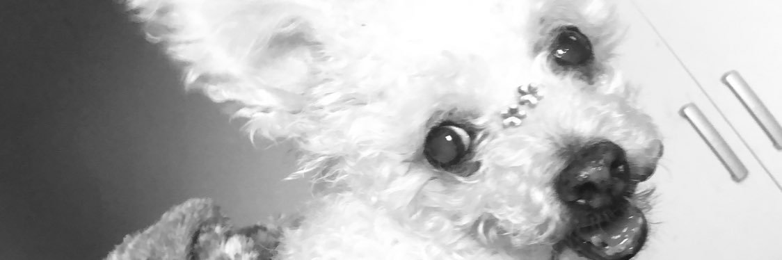 padilhamanuu's profile banner image
