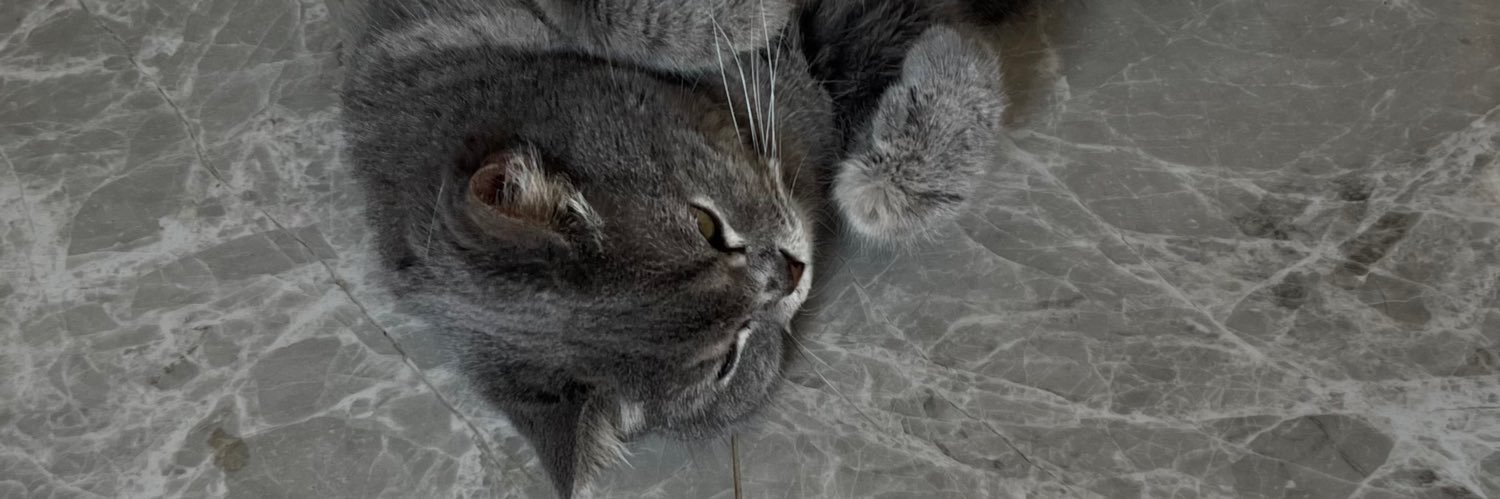 kanetchbordin's profile banner image