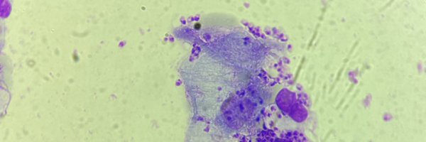 mariariesgo3 Profile Banner