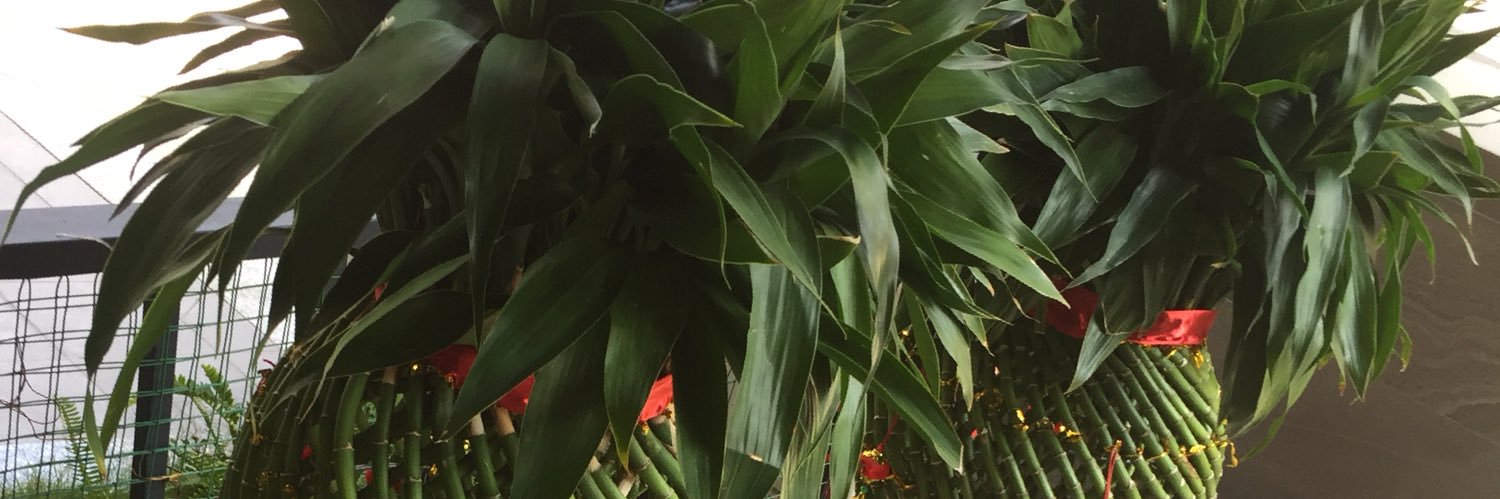 iThiT7's profile banner image