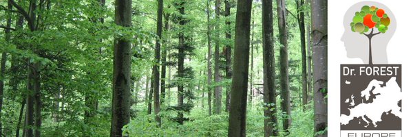 eu_forest Profile Banner