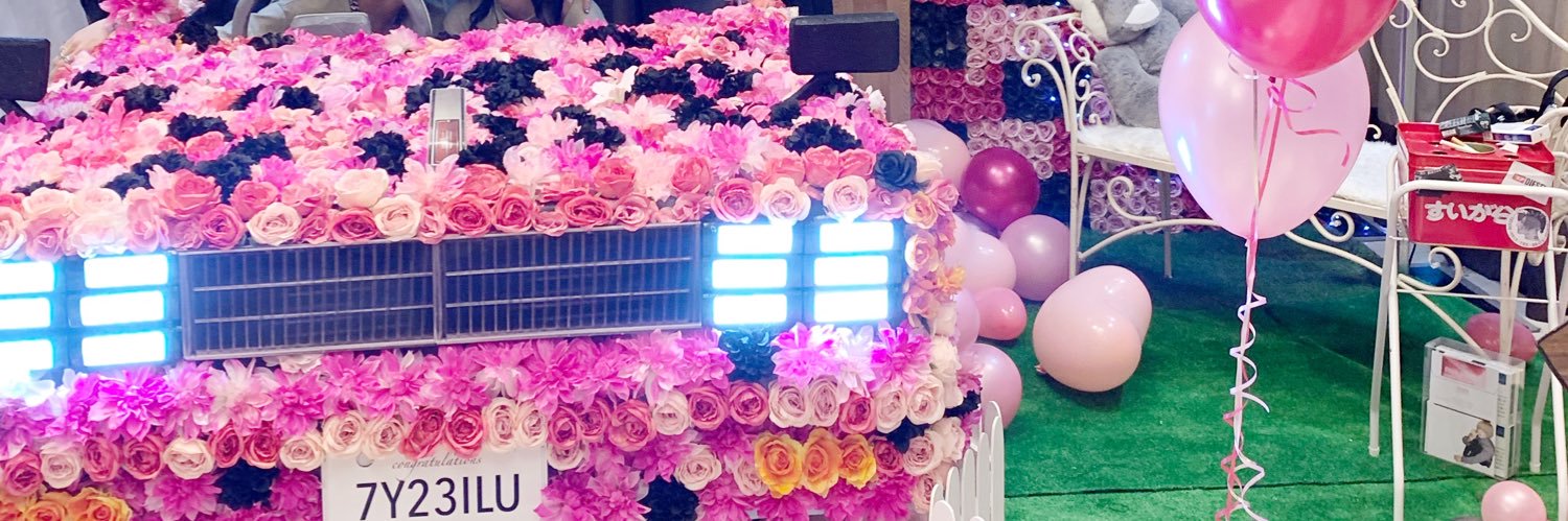 __Steelix__'s profile banner image
