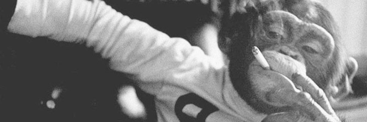 CamFio99's profile banner image