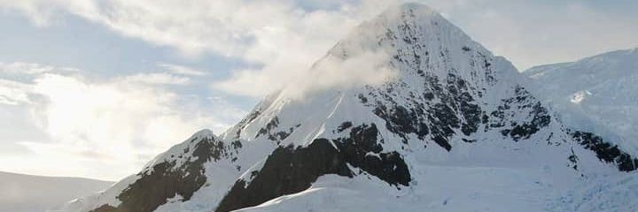 Nate the Great banner