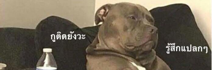 b. banner